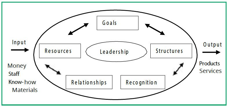 A circle with an arrow point towards it with the words Input, Money, Staff, Know-how and Materials. In the circle are five boxes: goals, structures, recognition, relationships and resources, with a central circle: leadership. There is an arrow outwards with the words Output, Products and Services.